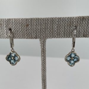 Aquamarine “Cousins” Earrings